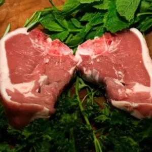 Lamb