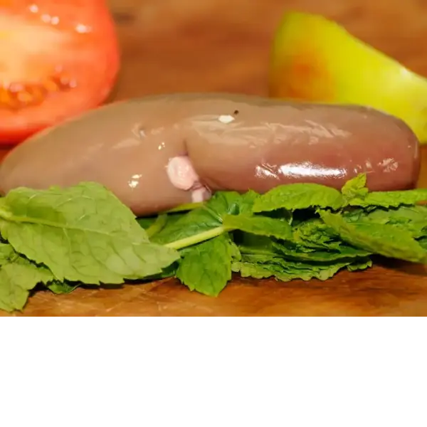 Pig Kidney